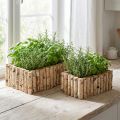 Pflanzkasten Birkenholz mit Rinde, rechteckig, im 2er-Set, 23/28 cm | Floristik24.ch