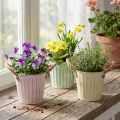 Deko-Topf aus Metall Ø15cm H13,5cm, 3er-Set Pastell Rosa/Grün/Gelb mit Henkeln | Floristik24.ch
