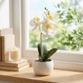 Künstliche Orchideen im Topf Weiss Ø7cm H22cm | Floristik24.ch