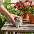 Keramikfigur Frosch 12cm Grün für Sommerdekoration und Zuhause | Floristik24.ch