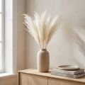 Trockenblumen Silbergras Weiss 70cm Natürliche Dekoration Innenbereich 10 Stück | Floristik24.ch