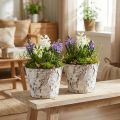 Deko-Pflanztöpfe aus Birkenrinde weiss Ø18cm H15cm 2er-Set | Floristik24.ch