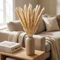 Pampasgras Trockenblumen Creme 70cm 6 Stk für Wohn- und Tischdekoration | Floristik24.ch