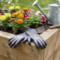 Gartenhandschuhe Grösse 8 EN 388-2016 2121X Grau Schwarz Blau Nylon Latex | Floristik24.ch