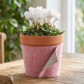 Filzband aus 100% Schafwolle, zweifarbig Altrosa/Grau, 15cm x 5m – Dekoration & Basteln | Floristik24.ch