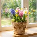 Runder Übertopf aus Birkenrinde Ø12cm H10cm Naturdeko für Zimmerpflanzen, 5 Stück | Floristik24.ch