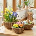 Weidenkorb-Set 3-teilig mit Henkel Ø32cm/28cm/22cm, Naturfarben, für Dekoration und Bepflanzung | Floristik24.ch
