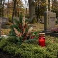 Deko-Moos getrocknet Waldmoos 300 g Grün für saisonale Dekoration | Floristik24.ch