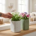 Keramik-Übertopf Reliefnetz Weiss und Grün 12x12x17,5 cm 2er-Set | Floristik24.ch