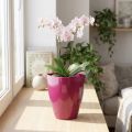 Orchideentopf glänzend Kunststoff Ø12,5cm Kirsche 1 Stück | Floristik24.ch