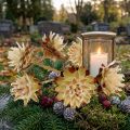 Plumosum mit kurzem Stiel 3-6 1kg | Floristik24.ch