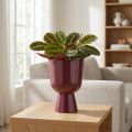 Blumentopf Metall Pokalform 23 cm Bordeauxrot für Innenräume | Floristik24.ch