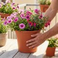 Blumentopf Plastik Terrakotta Ø29cm H24cm | Floristik24.ch