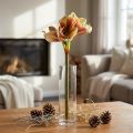 Künstliche Amaryllis Blume Rosa-Gelb 66 cm aus Seidenstoff | Floristik24.ch