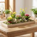 Längliches Holztablett Natur 42×14×3cm – Dekotablett für Tischdeko, 3 Stück | Floristik24.ch