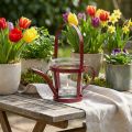 Windlicht Glas Metall Giesskanne Rot Ø14cm H13cm | Floristik24.ch