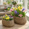 Pflanzkorb 2er-Set aus Naturmaterial mit Griffen, Innenfolie und Masse 23/35 cm – Dekoration und Bepflanzung | Floristik24.ch