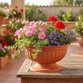 Schale mit Fuss aus Kunststoff Terrakotta Ø35cm | Floristik24.ch