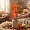 Getrocknete Distelköpfe Orange 100g – Erdbeerdisteln für Dekoration 60cm | Floristik24.ch
