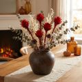Plumosum 1 Rot 25 St | Floristik24.ch