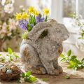 Beton Hase mit Blumentopf 27 cm Antik Grau Osterdeko | Floristik24.ch