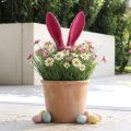 Hasenohren Deko Beflockt Pink auf Stab 56 cm Osterdekoration | Floristik24.ch
