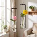 Hängende Minivasen aus Glas mit Metallrahmen Ø6cm x 32cm, Schwarz, 2 Stück | Floristik24.ch