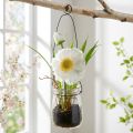 Mohnblume aus Seidenstoff im Glas zum Hängen Weiss H22cm | Floristik24.ch