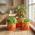 Keramik-Blumentöpfe Set im Tomaten-Design, dekorativ, 3 Grössen: 7x6 cm, 9x10 cm, 14x12 cm | Floristik24.ch