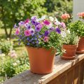 Topf aus Plastik Terrakotta Ø17cm H14cm für Zimmerpflanzen | Floristik24.ch