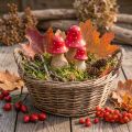 Fliegenpilz Deko Figuren aus Holz, 3 Grössen (6/8/10 cm), Rot-Weiss, Herbstdeko-Set | Floristik24.ch
