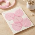 Skelettierte Weidenblätter Rosa 5–9 cm – 200 Stück für Dekoration und Bastelarbeiten | Floristik24.ch