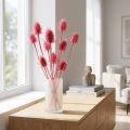 Wilde Karde Trockendeko Rosa Disteln 53cm 10 Köpfe | Floristik24.ch