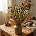 Erdbeerdistel Trockendeko Olivgrün Ø1–2cm L55cm 100g | Floristik24.ch