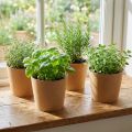 Pflanzgefäss aus Kraftpapier mit Pflanzfolie Ø15cm H13cm Natur Braun 4 Stück | Floristik24.ch