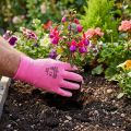 Kixx Gartenhandschuhe aus Nylon Grösse 8, Rosa und Pink mit PU-Beschichtung | Floristik24.ch