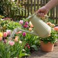 Gieskanne 9L Kunststoff Olivgrün mit Abnehmbarer Brause für Garten und Blumenpflege, 42cm | Floristik24.ch