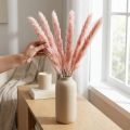 Rosa Pampasgras getrocknet 65–75 cm 6 Stück für Dekoration | Floristik24.ch