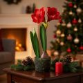 Künstliche Amaryllis in Moosballen – Leuchtend rote Blüten, 49 cm – Elegante Raumdekoration | Floristik24.ch
