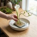 Rechteckiger Blumensteckigel Kenzan 60×45mm Metall Silber Gold | Floristik24.ch