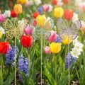 Gartenstecker Schmetterling Metall Pastellfarben 25cm 6-teilig | Floristik24.ch