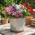Pflanztopf aus Metall mit Griffen, Ø26cm H25,5cm, silbern mit Rostoptik | Floristik24.ch