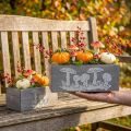 Holzkisten-Set mit Folie, Fliegenpilz-Motiv, Grau-Weiss, Pflanzgefässe 40/30cm 2er-Set für Innen- und Aussendekoration | Floristik24.ch
