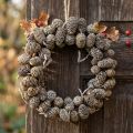 Erlenzapfen-Kranz zum Hängen Weiss gewaschen Ø 18 cm | Floristik24.ch