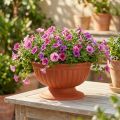 Schale mit Fuss Kunststoff Ø26cm Terrakotta | Floristik24.ch