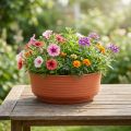 Z-Schale aus Plastik Ø20cm, 10 Stück, Terrakotta | Floristik24.ch
