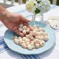 Natürliche Deko-Muscheln Umachi 500g, Kalk, ca. 2–3cm, Weiss | Floristik24.ch