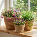Pflanzkorb-Set aus Rattan, 3 Grössen (Ø26/22/16 cm), Natur/Braun, für Innenbereich | Floristik24.ch