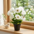 Künstlicher Mohn im Topf Weiss aus Seidenblumen, 48 cm | Floristik24.ch