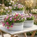 Metallschale zum Bepflanzen, oval, Weiss und Silbern, Spitzenmuster, 3er-Set, L41,5/35/29,5cm, H19/16/14,5cm | Floristik24.ch